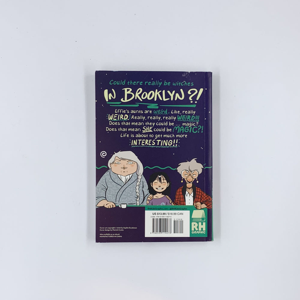 (Witches of Brooklyn #1) Witches of Brooklyn - Sophie Escabasse