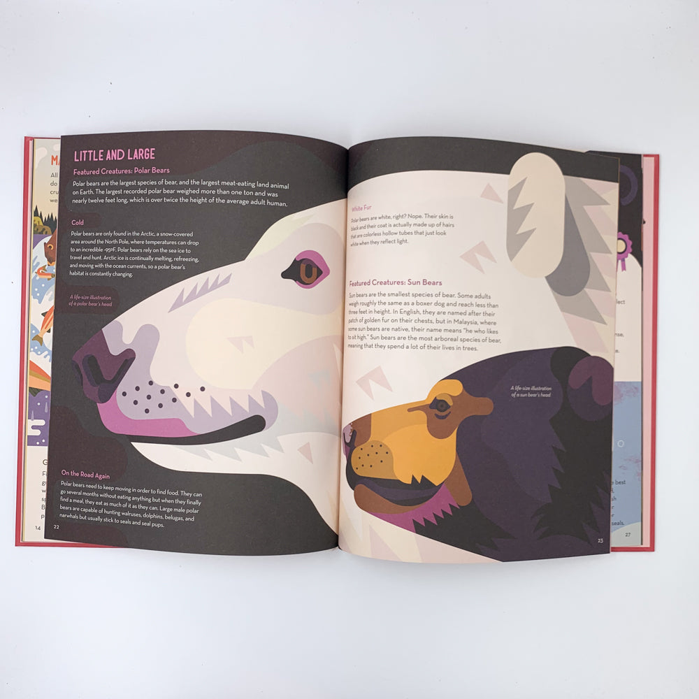 Brainy About Bears - Owen Davey