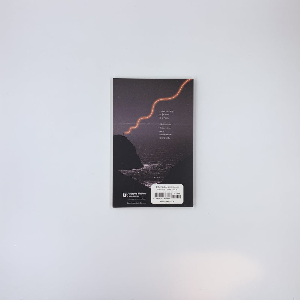 We Find Our Way - Reyna Biddy