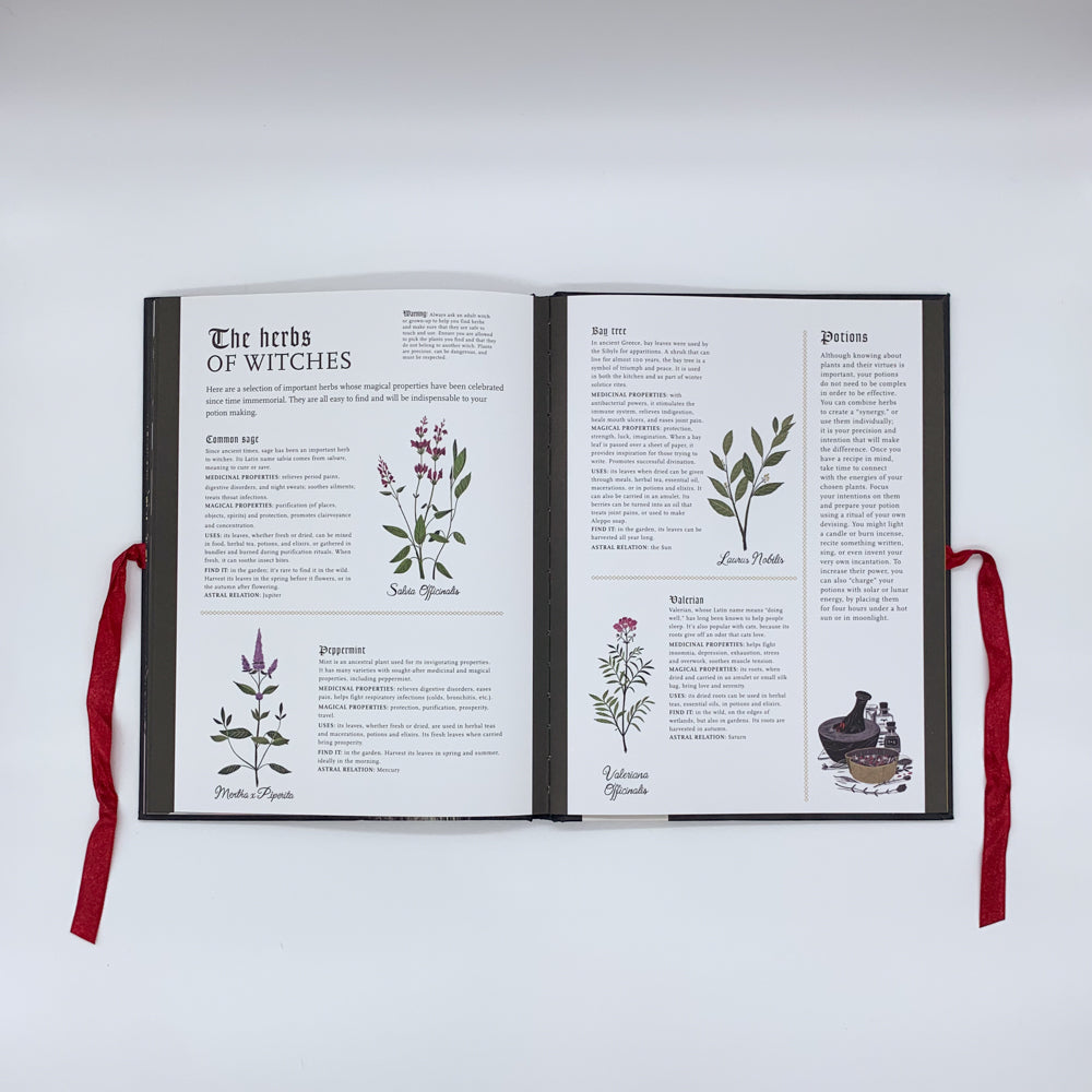 Secrets of the Witch - Julie Légère, Elsa Whyte & Laura Pérez