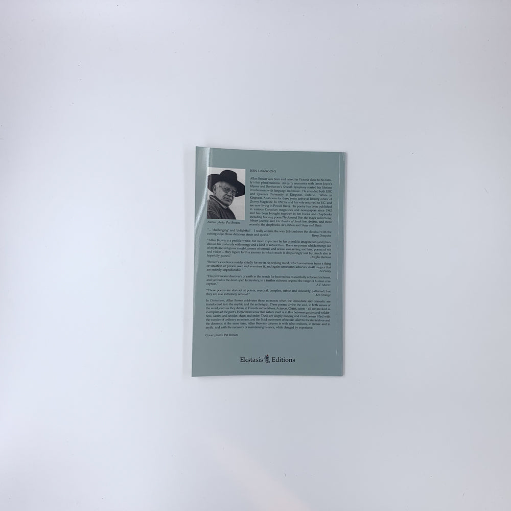 Divinations - Allan Brown