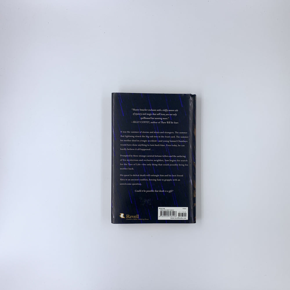 The Day the Angels Fell - Shawn Smucker