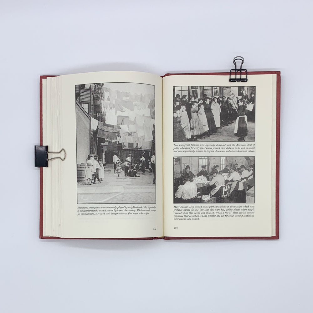 Dreams in the Golden Country: The Diary of Zipporah Feldman - Kathryn Lasky