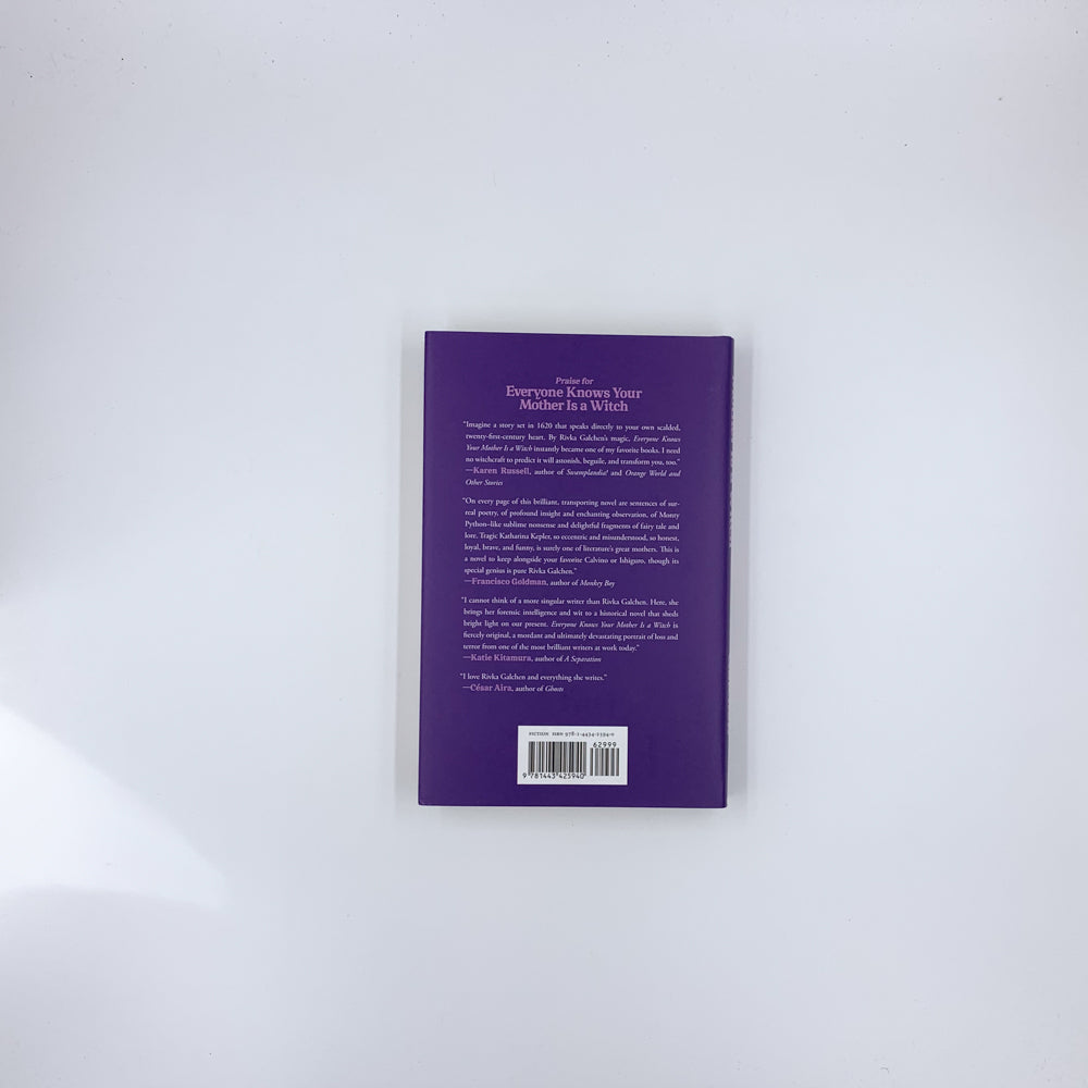 Everyone Knows Your Mother Is a Witch - Rivka Galchen