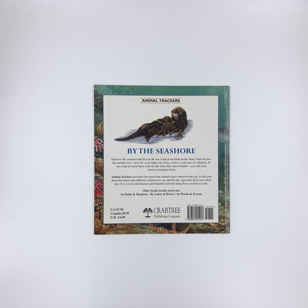 By the Seashore - Tessa Paul