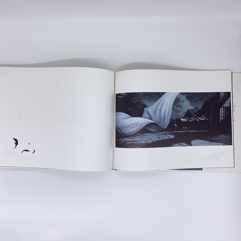 Lady in the Water: A Bedtime Story - M. Night Shyamalan , Crash McCreery (Illustrator)