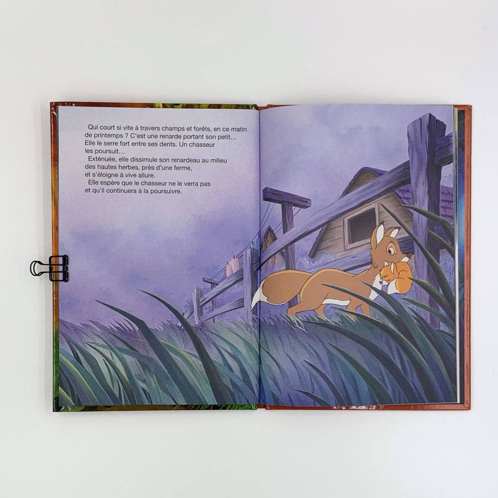 Rox et Rouky - Walt Disney