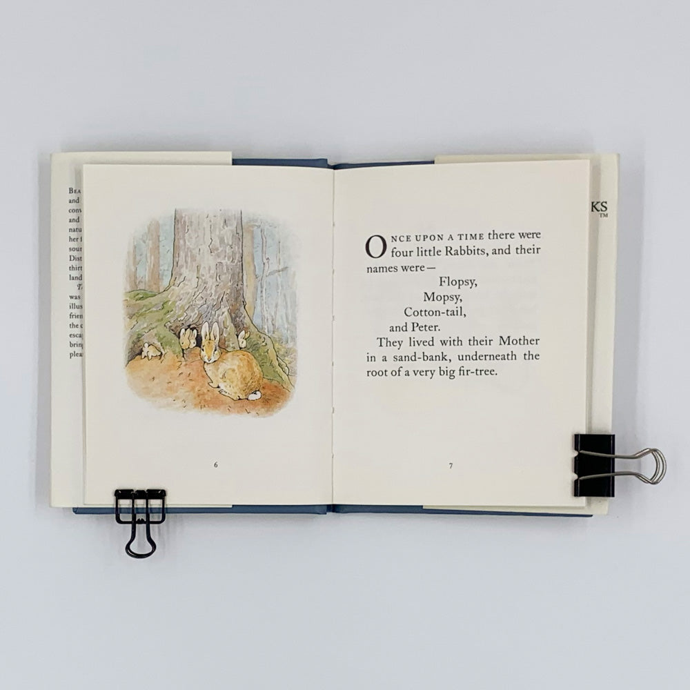 The Tale of Peter Rabbit - Beatrix Potter