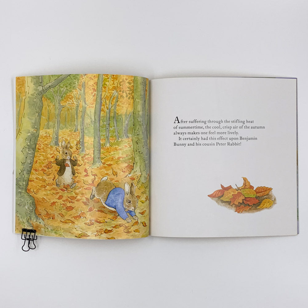 Peter Rabbit and the Pumpkin Patch - Beatrix Potter