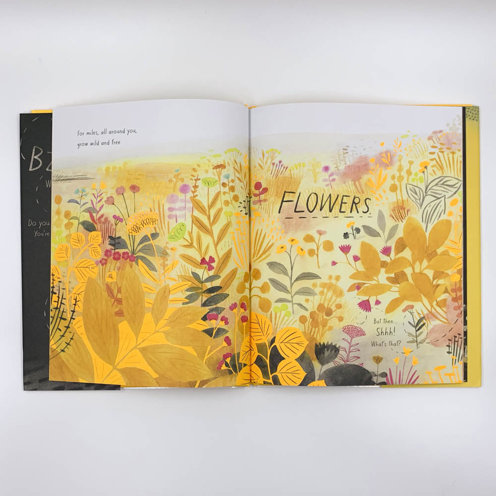 The Honeybee - Kirsten Hall & Isabelle Arsenault