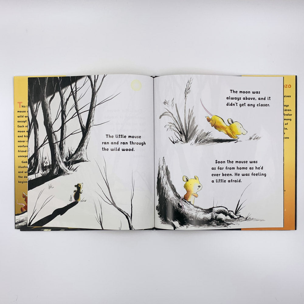 La souris et la lune - Gabriel Alborozo