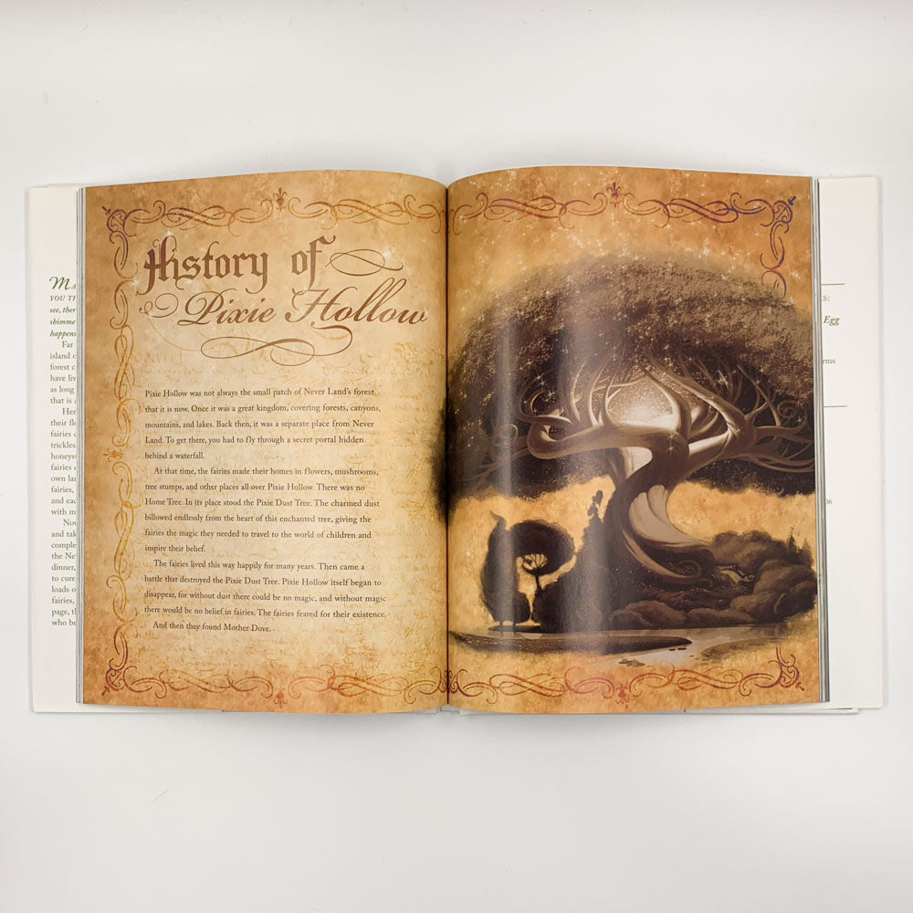 In the Realm of the Never fairies : The Secret World of Pixie Hollow - Monique Peterson