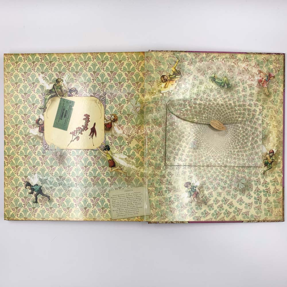 Fairyopolis: A Flower Fairies Journal - Cicely Mary Barker