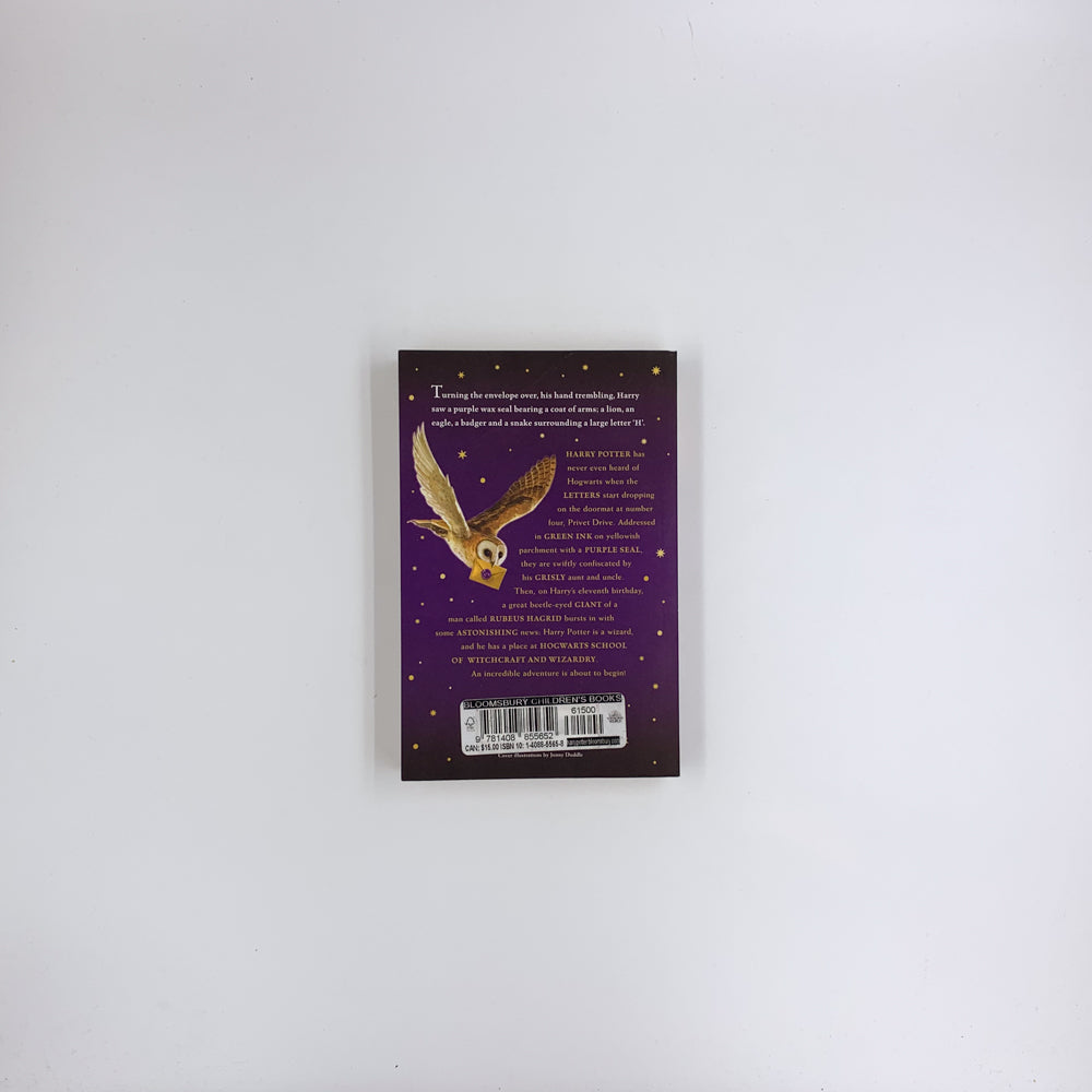 Harry Potter à l'école des sorciers - J.K. Rowling (Édition de Jonny Duddle, livre de poche)