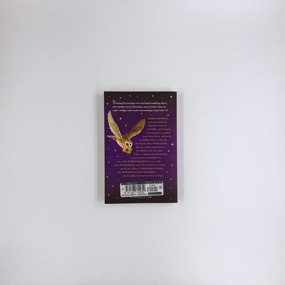 Harry Potter à l'école des sorciers - J.K. Rowling (Édition de Jonny Duddle, livre de poche)