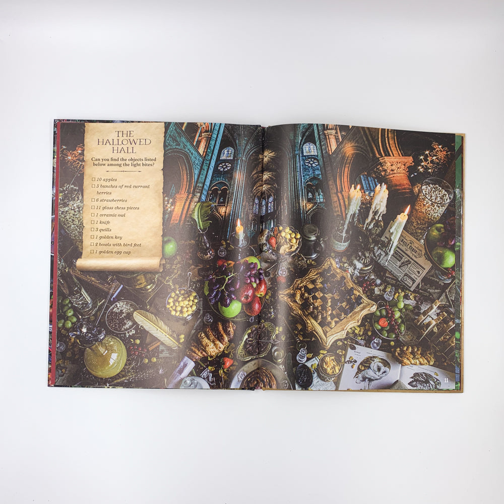 Where in the Wizarding World...?: A hidden objects picture book inspired by the adventures of Harry Potter - Imana Grashuis