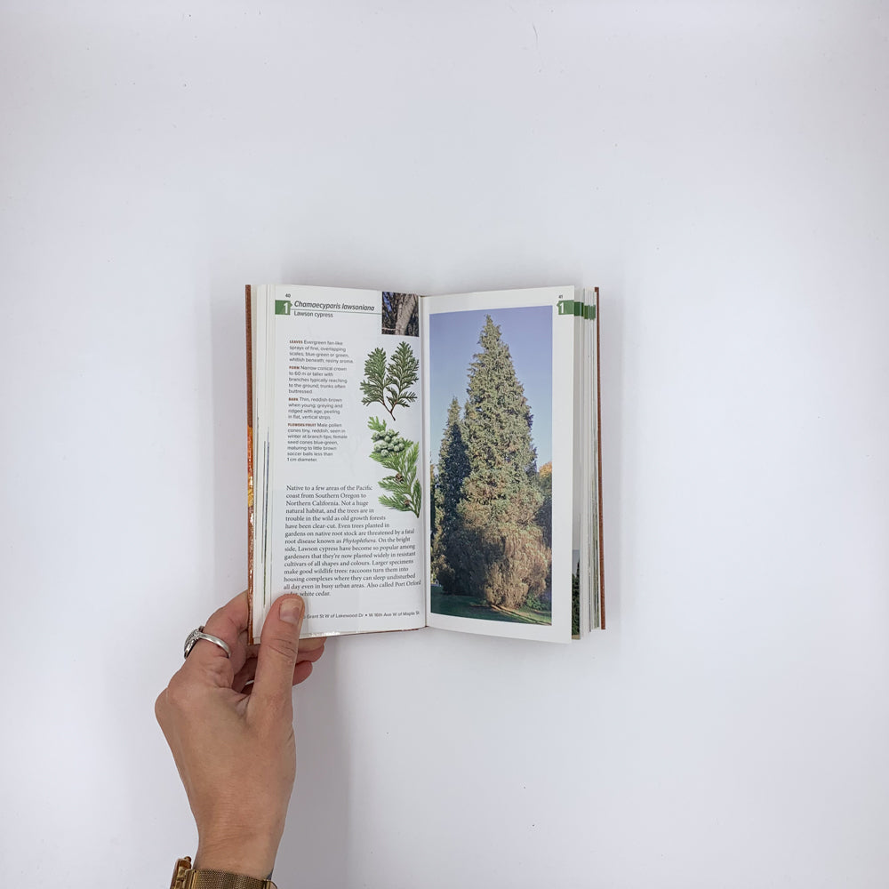 Vancouver Tree Book: A Living City Field Guide - David Tracey