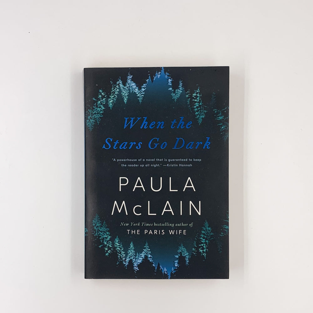 When the Stars Go Dark - Paula McLain