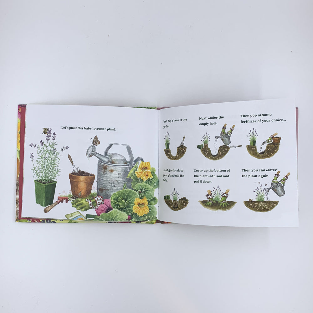 Garden Wonders: A Guidebook for Little Green Thumbs - Sarah Grindler