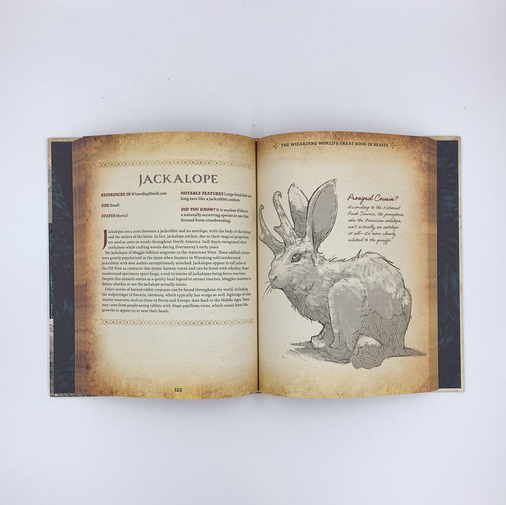 The Wizarding World’s Great Book of Beasts - Media Lab Books