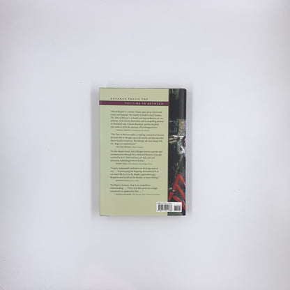 The Time In Between - David Bergen (hardcover)