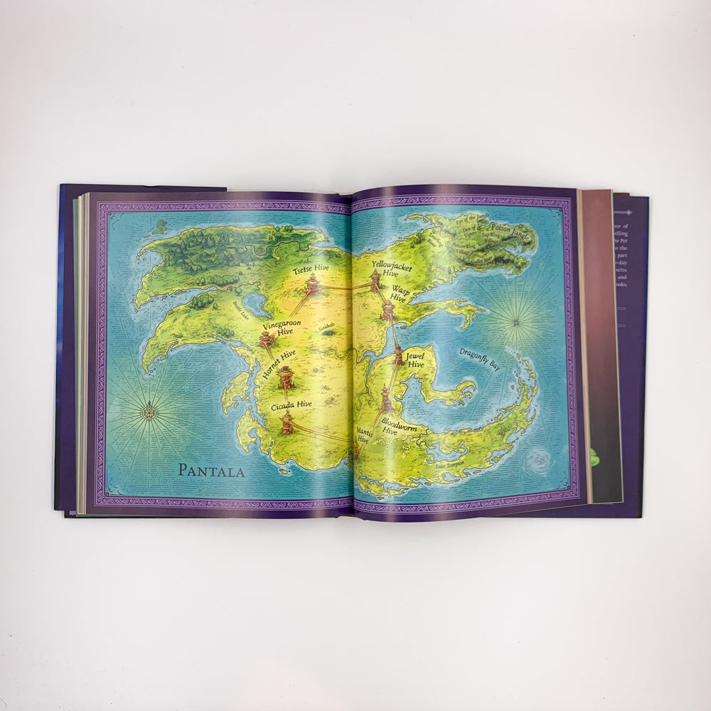 (Wings of Fire) Wings of Fire: A Guide to the Dragon World - World  Tui T. Sutherland & Joy Ang