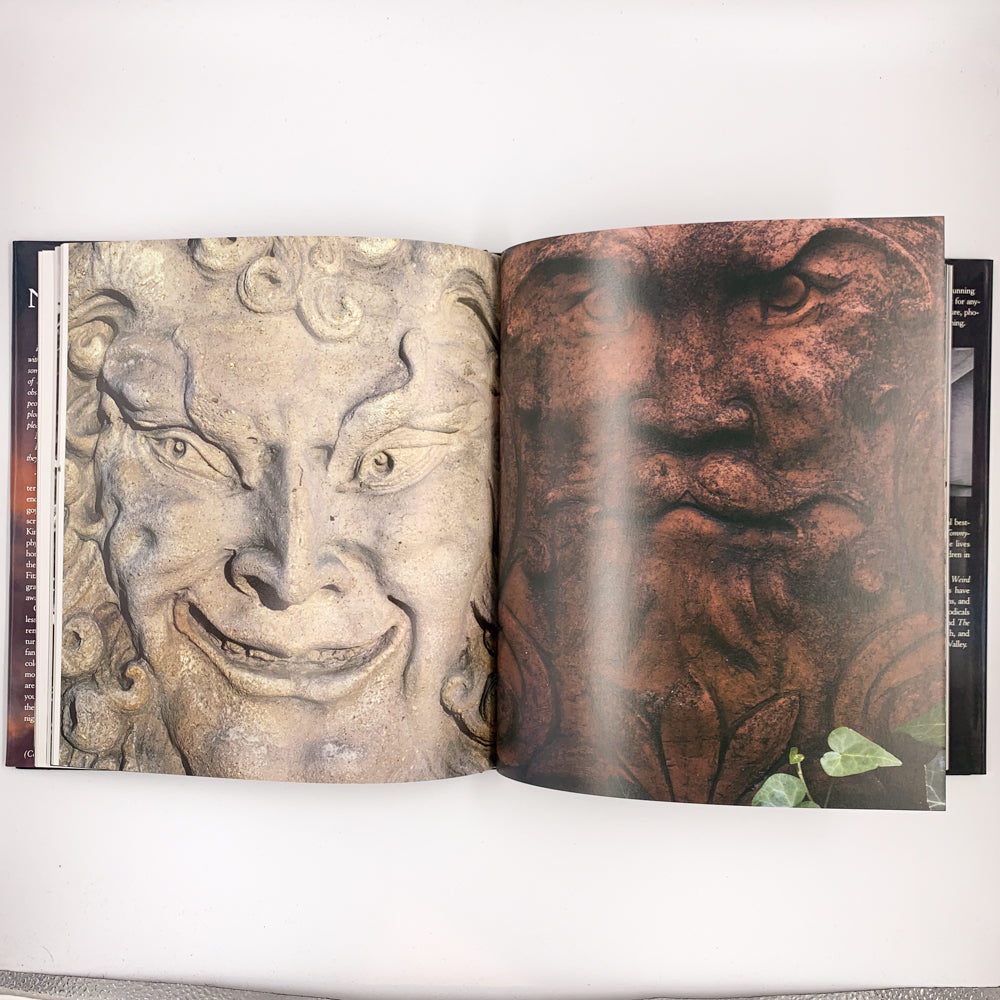 Nightmares in the Sky: Gargoyles and Grotesques  Stephen King  & F-stop Fitzgerald