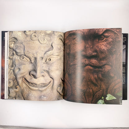 Nightmares in the Sky: Gargoyles and Grotesques  Stephen King  & F-stop Fitzgerald