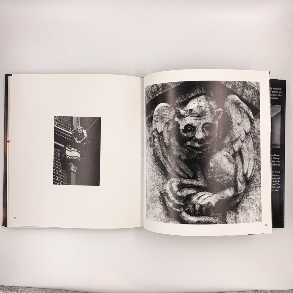Nightmares in the Sky: Gargoyles and Grotesques  Stephen King  & F-stop Fitzgerald