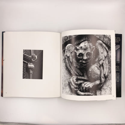 Nightmares in the Sky: Gargoyles and Grotesques  Stephen King  & F-stop Fitzgerald
