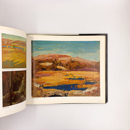 The Silence and the Storm - Tom Thomson