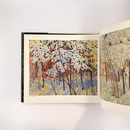 The Silence and the Storm - Tom Thomson
