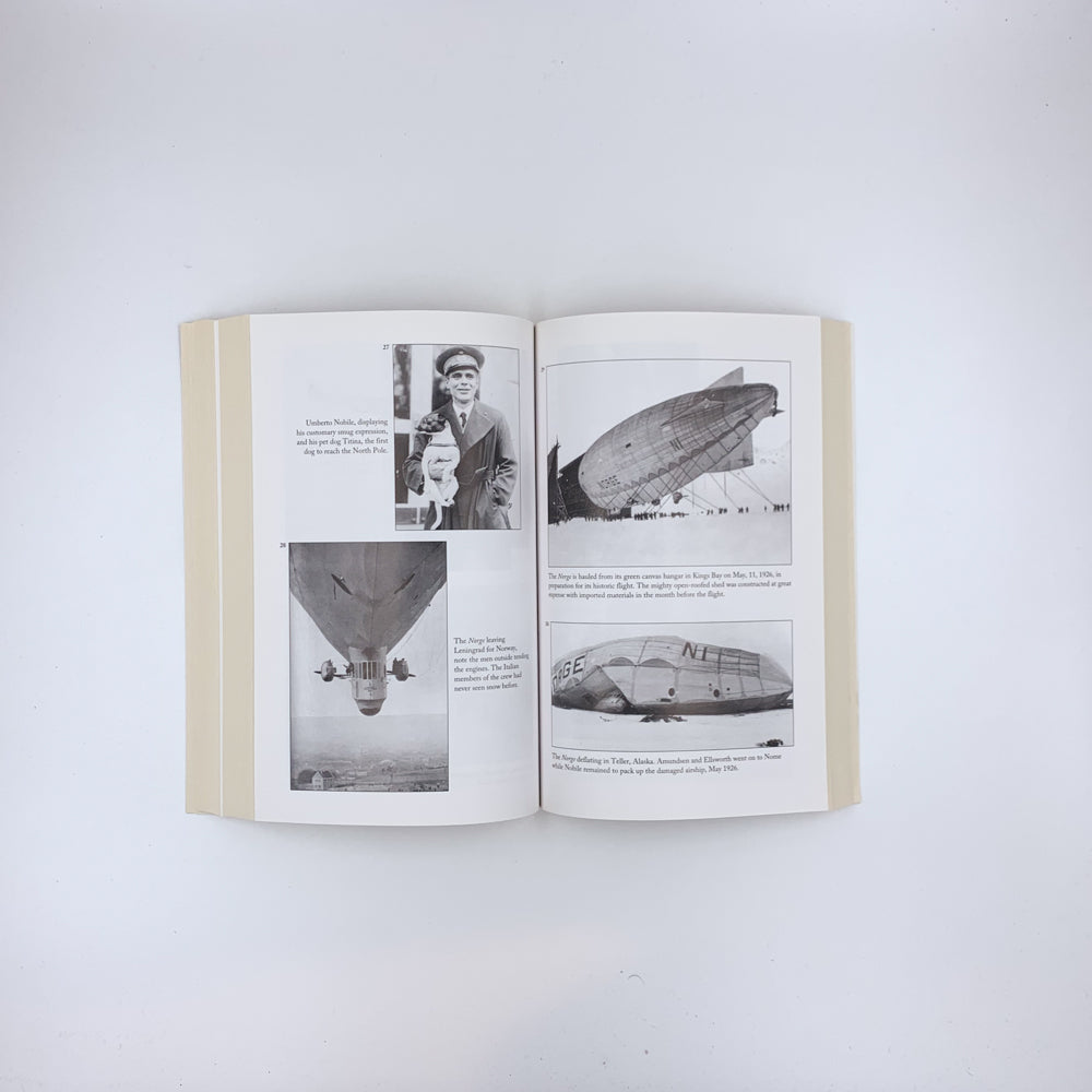 Last Viking : The Life of Roald Amundsen - Stephen R. Bown