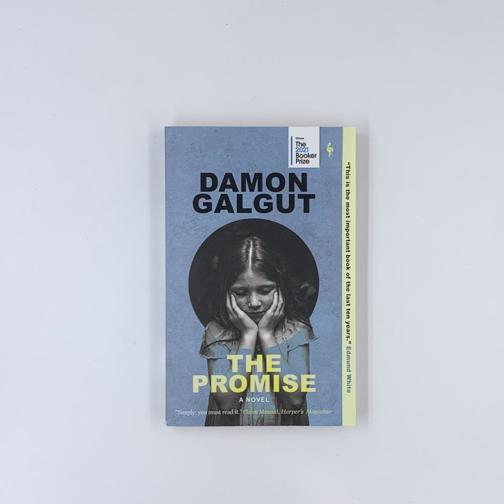 The Promise - Damon Galgut