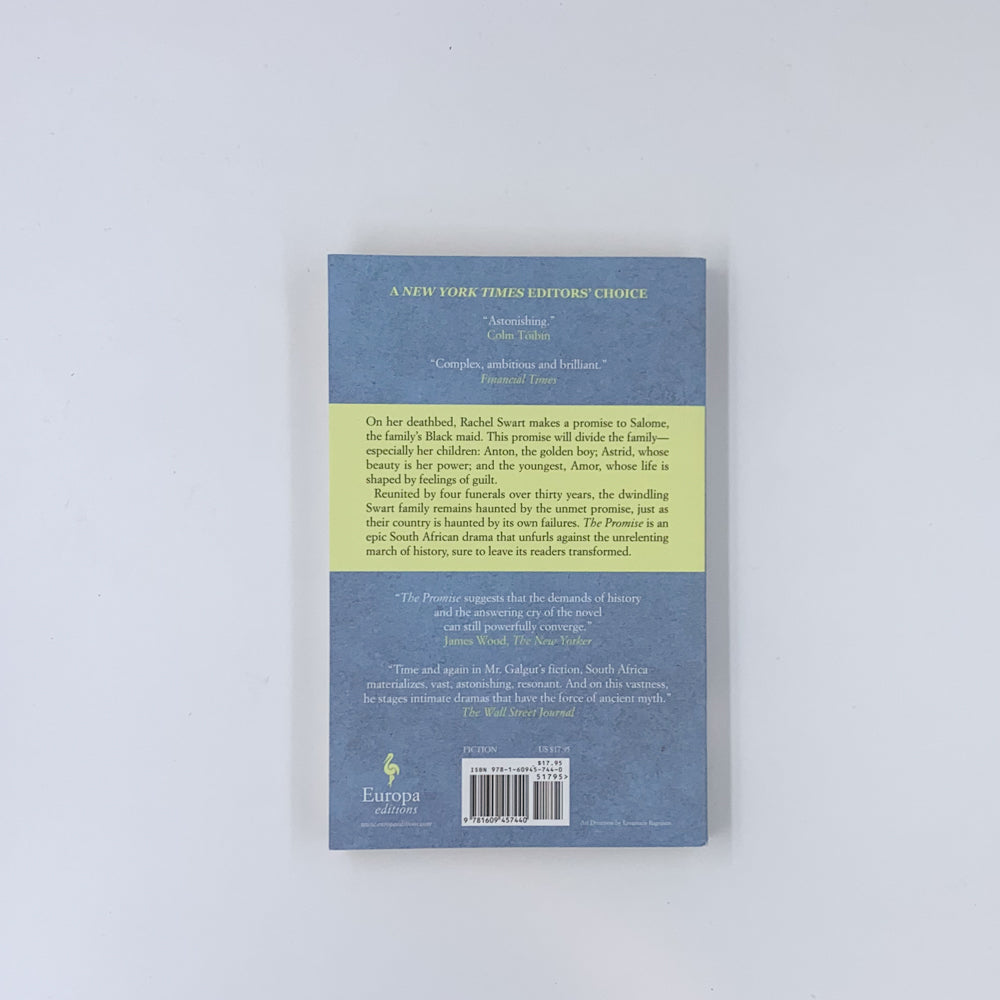 The Promise - Damon Galgut