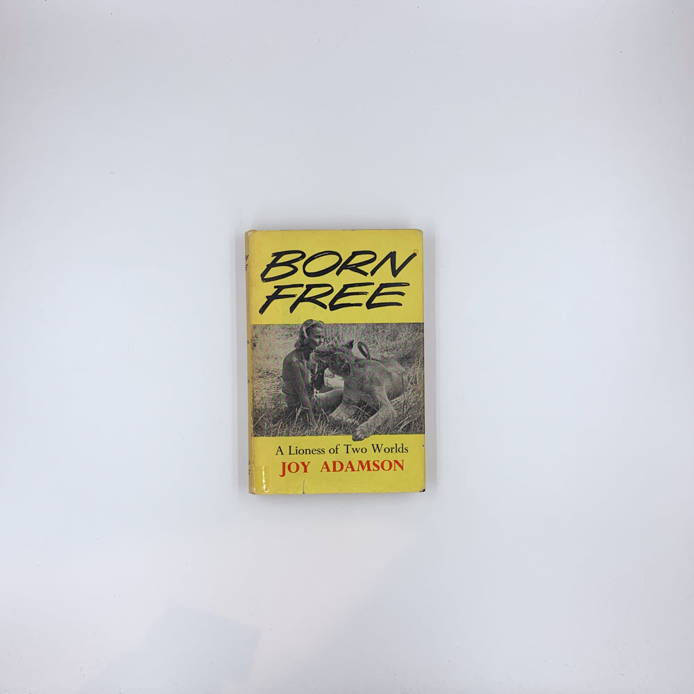 (Story of Elsa #1) Born Free: A Lioness of Two Worlds - Joy Adamson