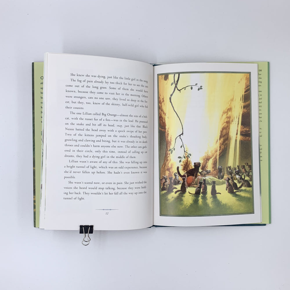 A Circle of Cats - Charles de Lint & Charles Vess