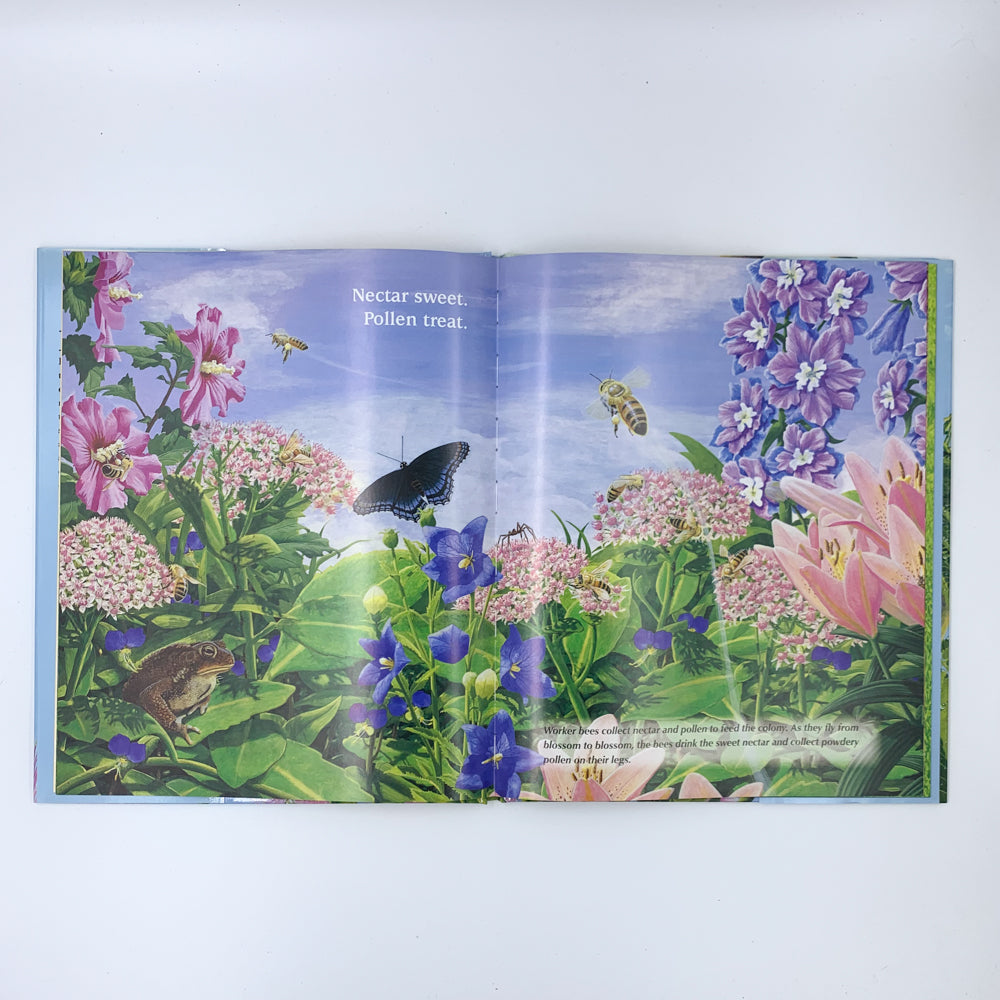 In the Trees, Honey Bees - Lori Mortensen & Cris Arbo