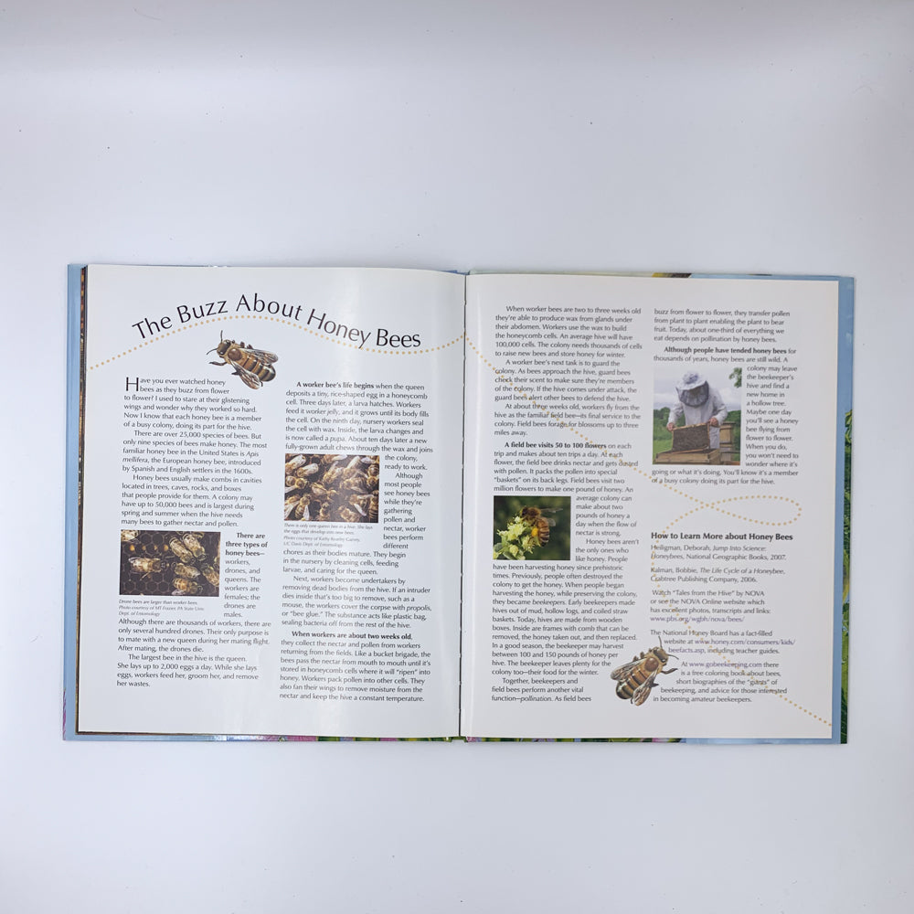 In the Trees, Honey Bees - Lori Mortensen & Cris Arbo