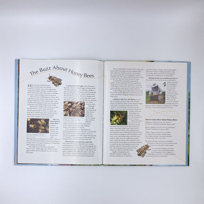 In the Trees, Honey Bees - Lori Mortensen & Cris Arbo