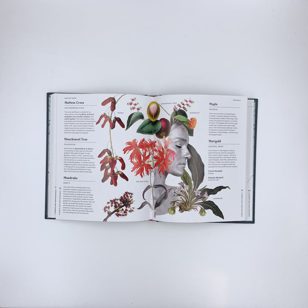 Flowers and Their Meanings: The Secret Language and History of Over 600 Blooms - Karen Azoulay