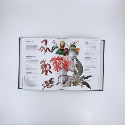 Flowers and Their Meanings: The Secret Language and History of Over 600 Blooms - Karen Azoulay
