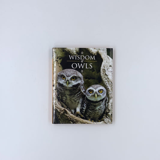 Wisdom of Owls - Lisa Purcell
