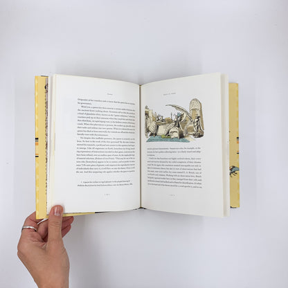 Bees: Nature's Little Wonders - Candace Savage