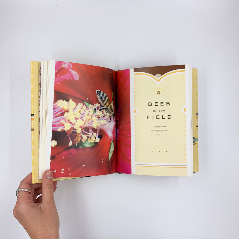Bees: Nature's Little Wonders - Candace Savage