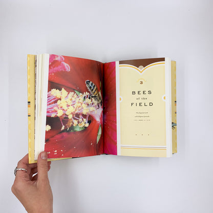 Bees: Nature's Little Wonders - Candace Savage