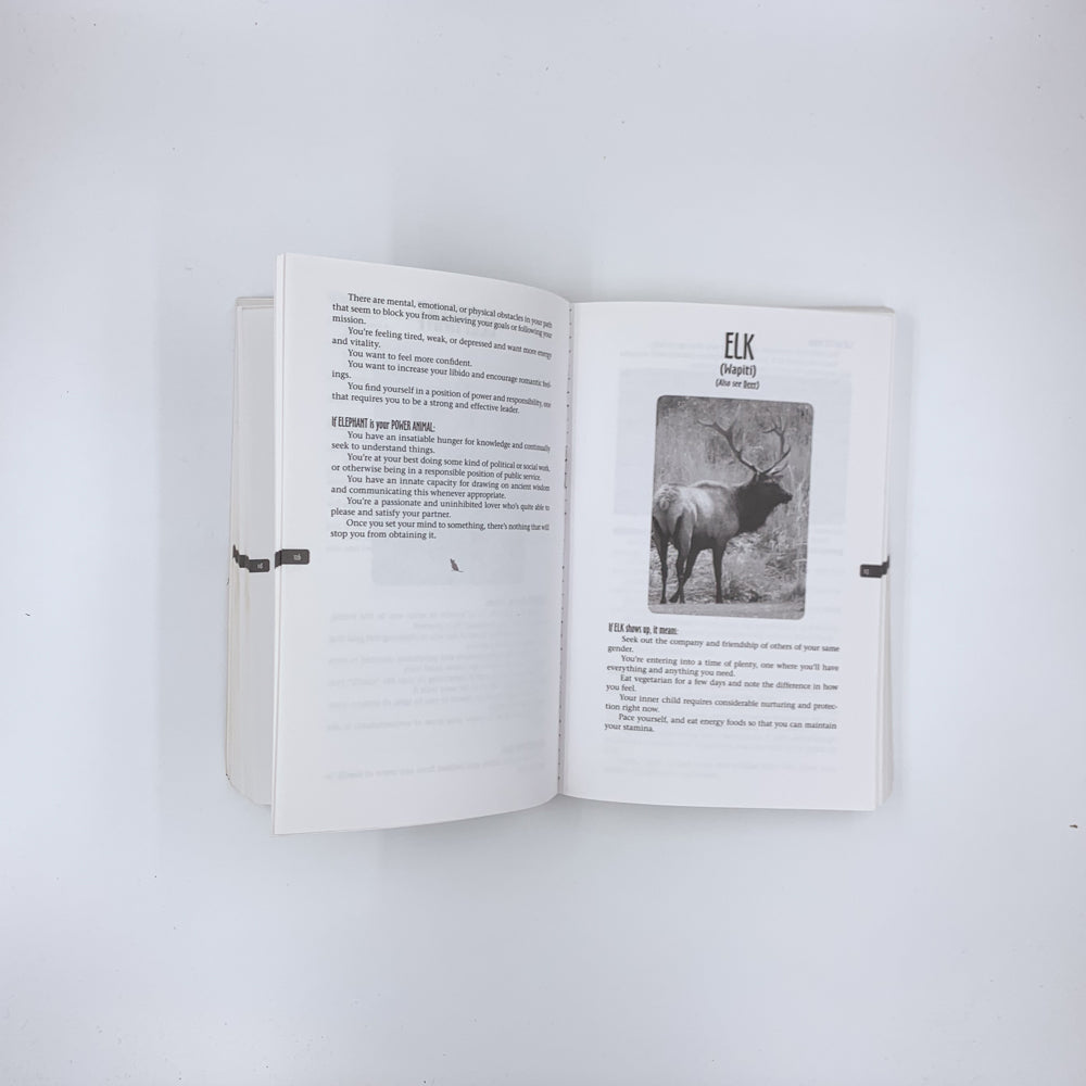 Animal Spirit Guides: An Easy-to-Use Handbook for Identifying and Understanding Your Power Animals and Animal Spirit Helpers - Steven D. Farmer