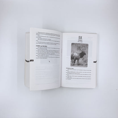 Animal Spirit Guides: An Easy-to-Use Handbook for Identifying and Understanding Your Power Animals and Animal Spirit Helpers - Steven D. Farmer