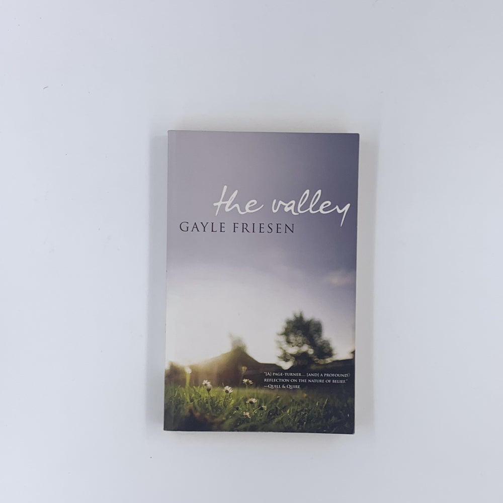 The Valley - Gayle Friesen