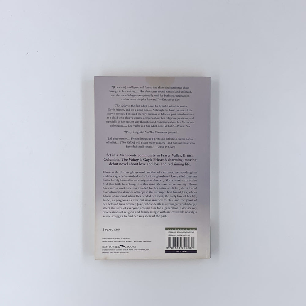 The Valley - Gayle Friesen